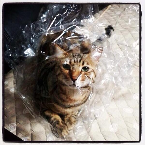 yg_instagram's tweet photo. دار: Dadoongie ماذا تفعل؟!؟ ㅋㅋㅋ http://t.co/tmTTdYdpvX