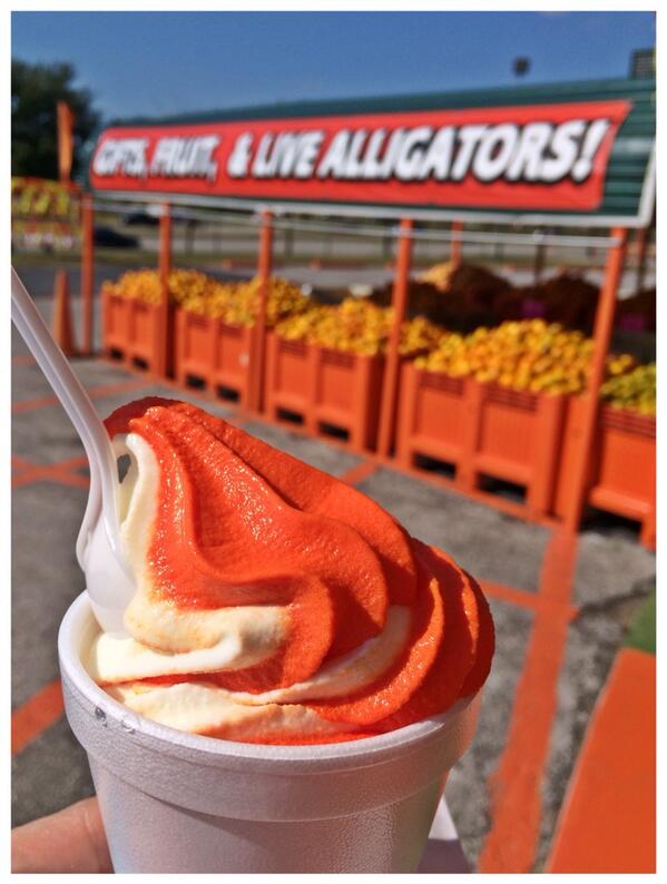 43SquareMiles's tweet photo. This place has everything... #lostinflorida http://t.co/VE3hpJIIy3