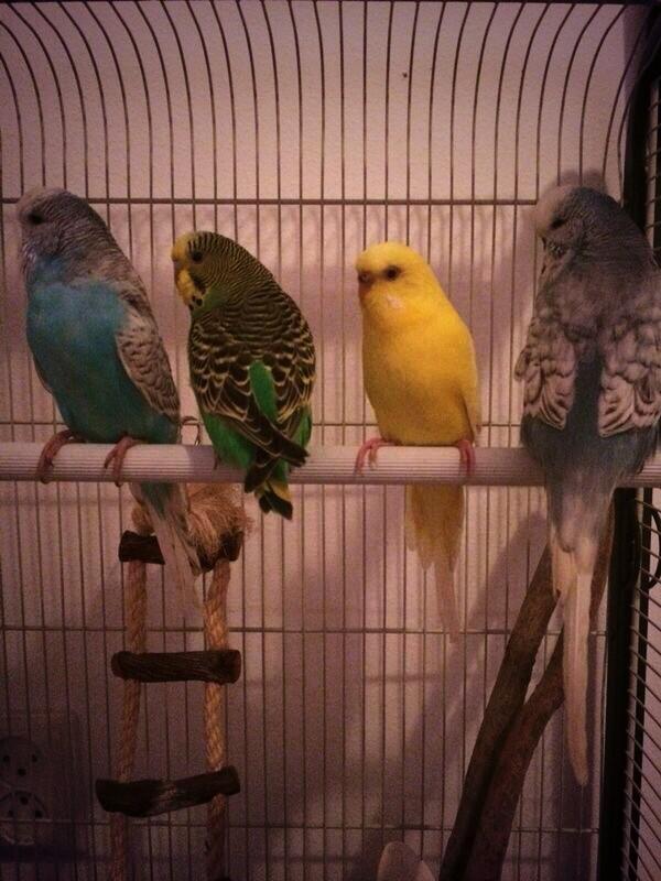 laurav_w's tweet photo. 💕 http://t.co/t0bp8M7rBN