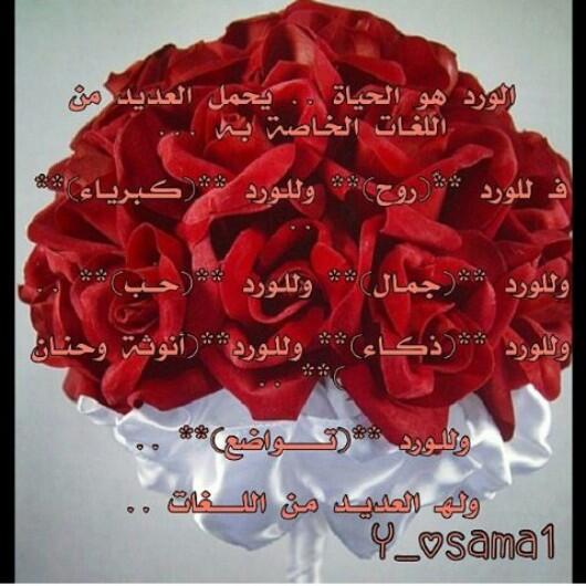 بنت الرياض  tweet media
