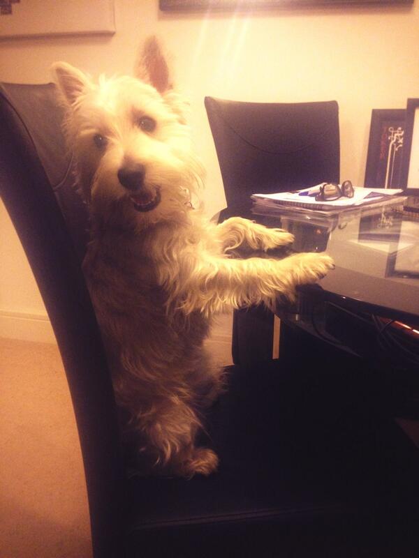 GavWonna's tweet image. First course I would like Soup of the day followed by Steak with a side a Steak,both well done thank you #Boogles