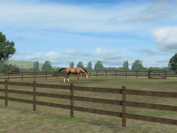 divapanter's tweet photo. Check out my photo! Add me, Turbopluis. #MyHorse  http://t.co/olwAbIvmBo http://t.co/u72t6YUU2d