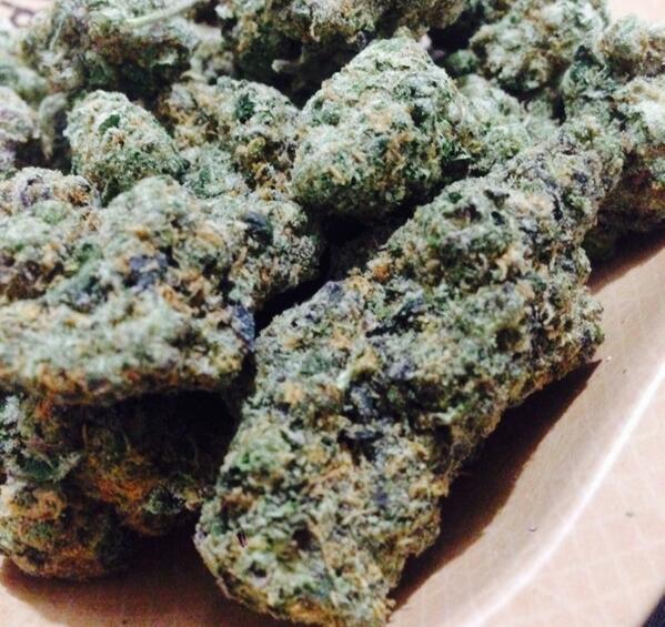 40oz_VAN's tweet photo. Girl Scout Cookies http://t.co/UTGf9YmiDD