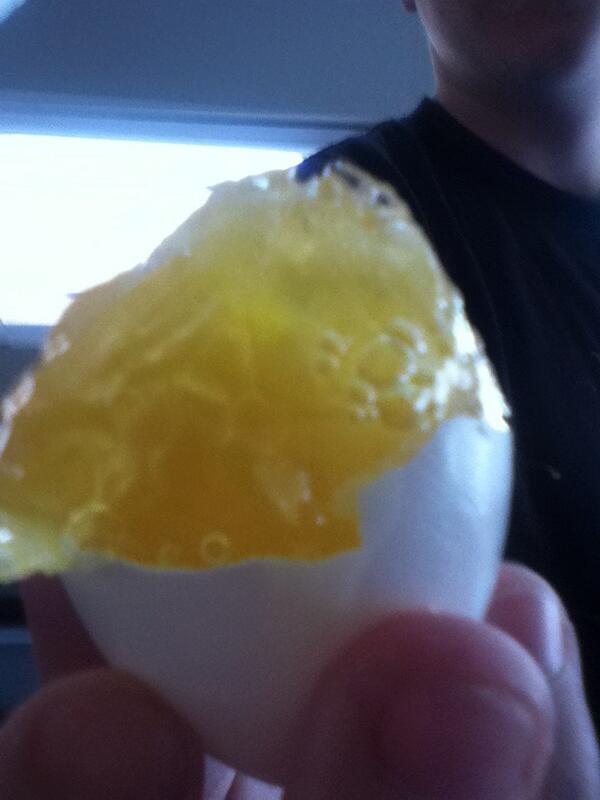 DavidBuikema's tweet photo. Russell found a dope fresh egg http://t.co/QWfIswsLaP