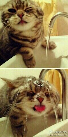 Wade_Merry8's tweet photo. @MLEgraham http://t.co/Tu6wFGEjyJ