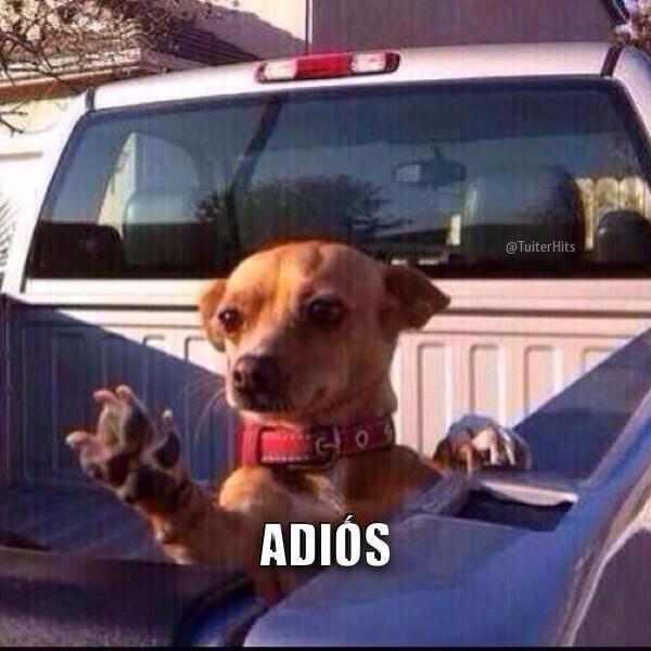 Noe_Lopez16's tweet photo. "@TuiterHits:Yo cuando me separan de la persona con la que más hablo en clases http://t.co/hRVozuZT49" @Carolcastillo_  qué tiempos aquellos