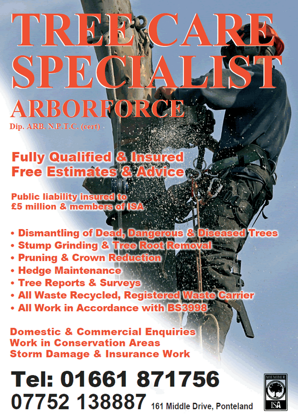 ArborforceLtd's tweet photo. Our leaflet #NEfollowers #treesurgeon #ponteland #northeast @Pontelandtweets @pontelandonline @Gustharts @NEBizPromo http://t.co/qLAkW8aDiC