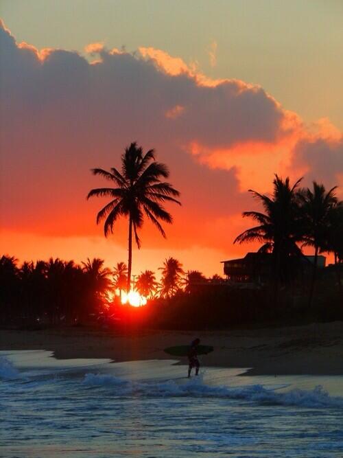 sunsetchasers_'s tweet photo. Surfers sunset 😍 http://t.co/xyxC4uT94J