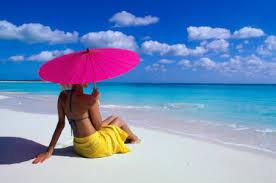 PalmTreeGetaway tweet picture