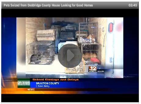 Doddridge News tweet media