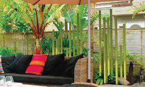 CASurfaces's tweet image. 