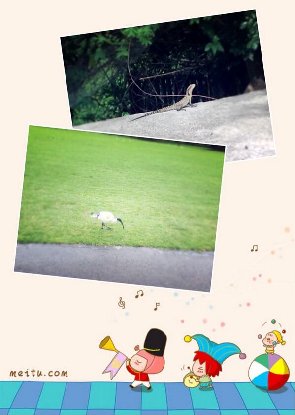 micchylu tweet picture