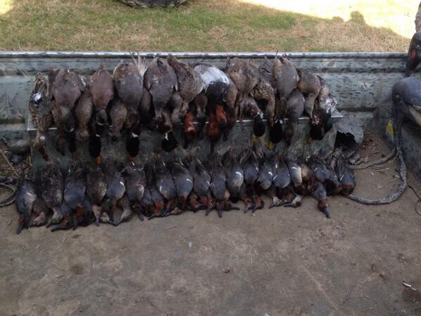 WhiteRiverMafia's tweet photo. @readyt0hunt smack down in Arkansas today. Can't wait for tomorrow! http://t.co/GffPDOJahv