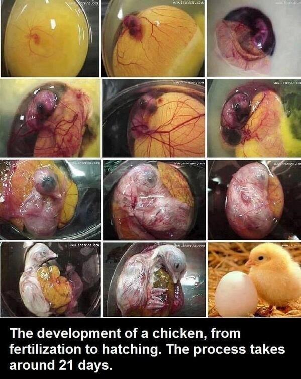 McleanTrue's tweet image. 