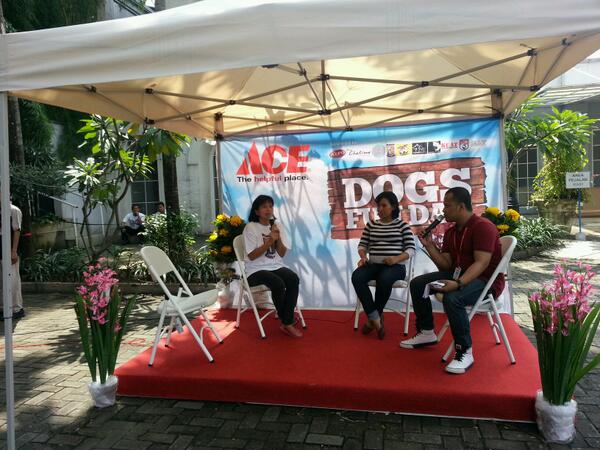 SeputariNews's tweet photo. Seminar #DogsFunDay hr ini mengundang pembicara Dr.Susana sebagai pendiri dr Pejaten Shelter #partnerbysindotv http://t.co/fUR1XCCVaY
