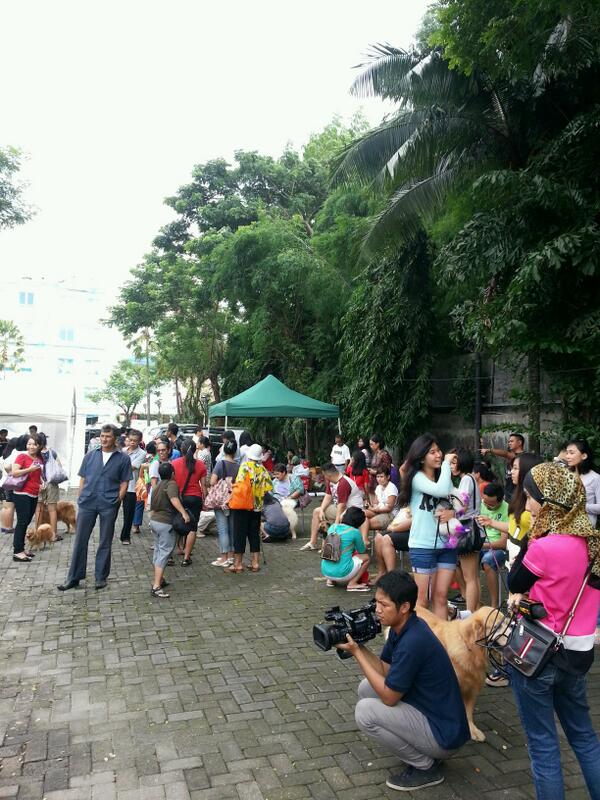 SeputariNews's tweet photo. Dog Lovers bkmpul di #DogsFunDay Ace Hardware Pejaten. Bbgai jnis anjing pun dtmui dsni smpai dgn pitbull, puddle dll http://t.co/SWKzth2e8m