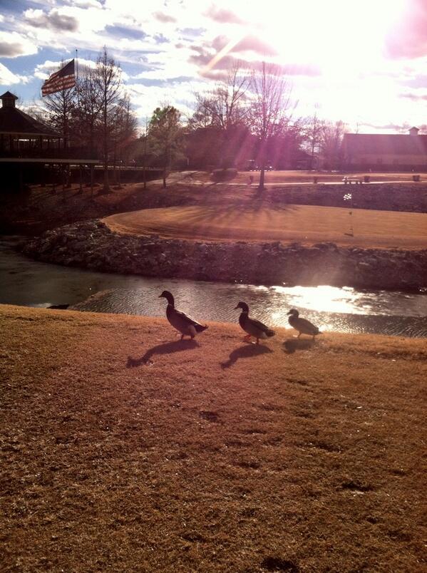 Josh Wright tweet media