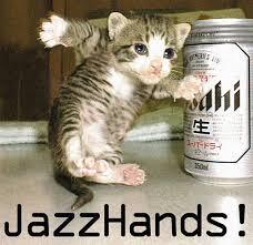 carrieanninaba's tweet photo. best cat photo ever…#dancercat RT if you like #JAZZHANDS :) http://t.co/s1YEYZdHVE