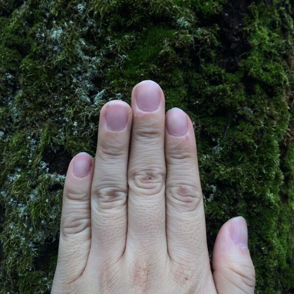 OreNail's tweet photo. 今日はこけネイルでふかふかだよ❤︎ #nail #ネイル #爪 #ヌードネイル #女子力 #こけ http://t.co/INoyXUYC2e