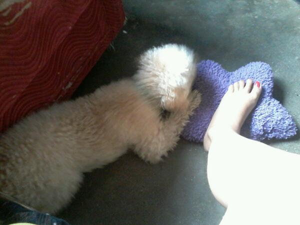 YolithaN's tweet photo. mi bebe hermoso http://t.co/FgkUstGeiu