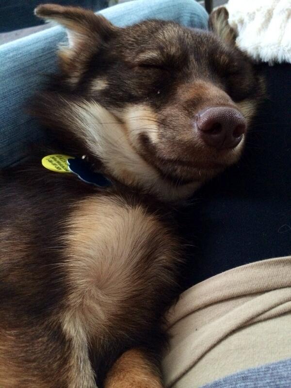 Jeffrey Rogers tweet media