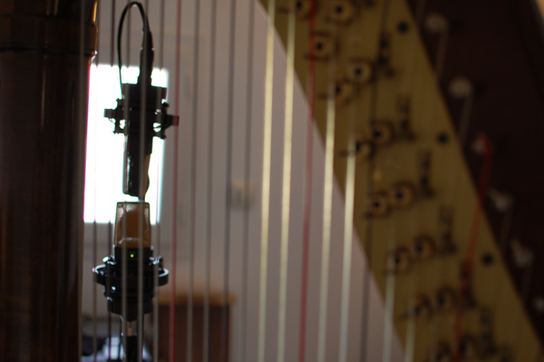 talkboxsi's tweet photo. Any tips on MS recording with harp @pensadosplace !? http://t.co/yFGFvNNC2L