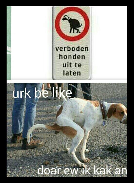 jsnoek1's tweet photo. @URKBELIKE http://t.co/u1AF5RviUS