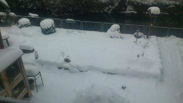 samoyoen's tweet image. How am I gonna finish all that cocaine alone ???? :/ #needsomehelp