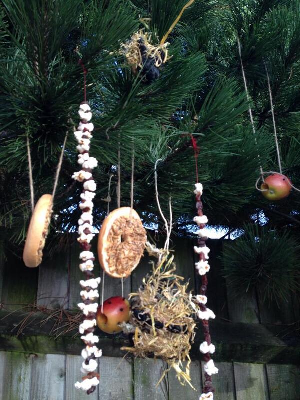 Some of the tasty treats we made for the birds at our workshop today! <a href="/freerangewales/">Free Range Learning</a> <a href="/RSPBCymru/">RSPB Cymru</a> <a href="/AdamsdownCdf/">AdamsdownCardiff</a>