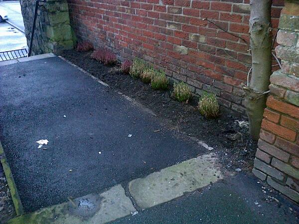 Dark_Blue_Box's tweet image. After #communityplanting for Barnoldswick in Bloom at the back of the fire station