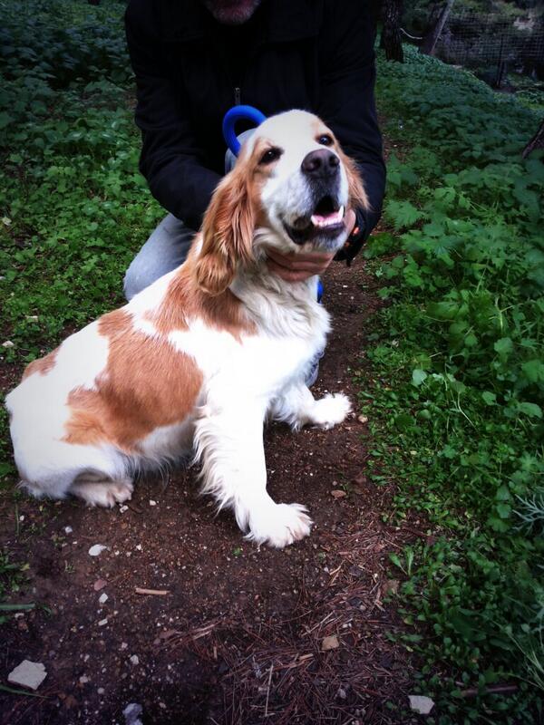 ΤΗ ΒΟΗΘΕΙΑ ΣΑΣ ΠΑΡΑΚΑΛΩ!ΜΠΟΡΟΥΜΕ ΝΑ ΒΡΟΥΜΕ ΣΠΙΤΙ ΣΤΟΝ ΚΟΥΚΛΟ ΑΥΤΟ ΠΟΥ ΕΓΚΑΤΕΛΕΙΨΑΝ?? ΕΝΔΙΑΦΕΡΕΤΑΙ ΚΑΠΟΙΟΣ? -RETWEET
