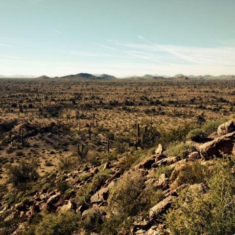 brayden_cesena's tweet image. Perfection ❤️😜😍👌 #riverbottom #arizona #beautiful #loveit