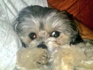 TrishKeels's tweet photo. Ever seen anything cuter? http://t.co/hzaYtLZ1wb