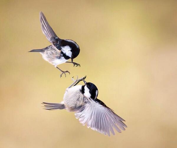 ybh4618's tweet photo. http://t.co/reiqC3Ntlt