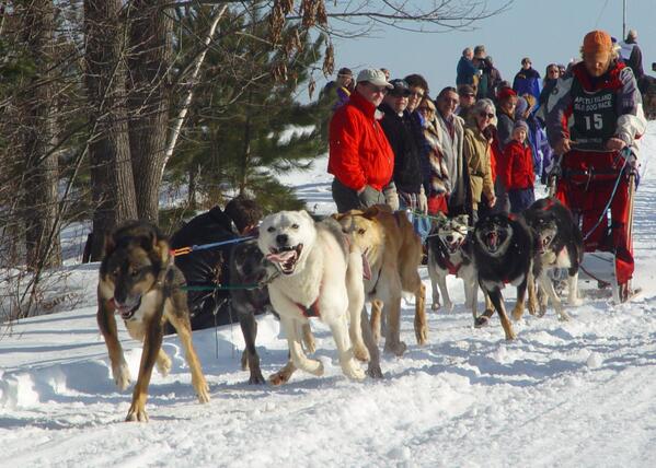 TravelWisconsin's tweet photo. @SmashedSaloon  Thanks for the follow! Enjoy the season! http://t.co/e6cNT3Rzee