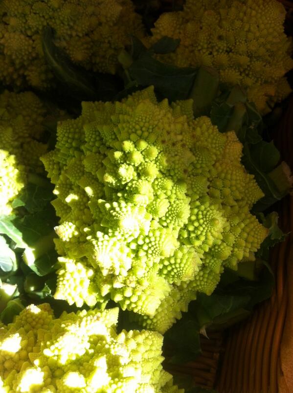 PJ Horrigan III (@pj504) on Twitter photo 