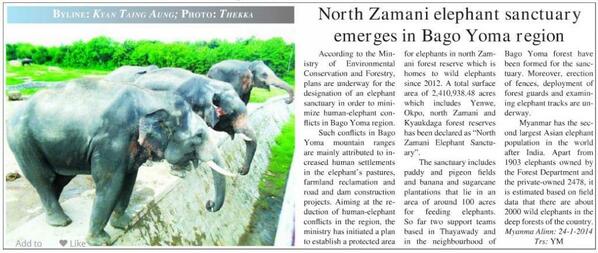 wulbern's tweet photo. #Myanmar Ministry of Env Conservation taking steps to protect wild #Elephants #MOECAF #WildBurma http://t.co/h75zJFCprT