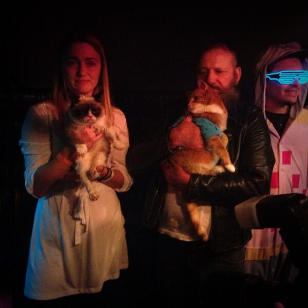 NicholasFrazee's tweet photo. @thekeyboardcat @RealGrumpyCat @JaNigaDiana #catvidfest in the fur!!! #firstworldentertainment http://t.co/9ZGlgaNllr