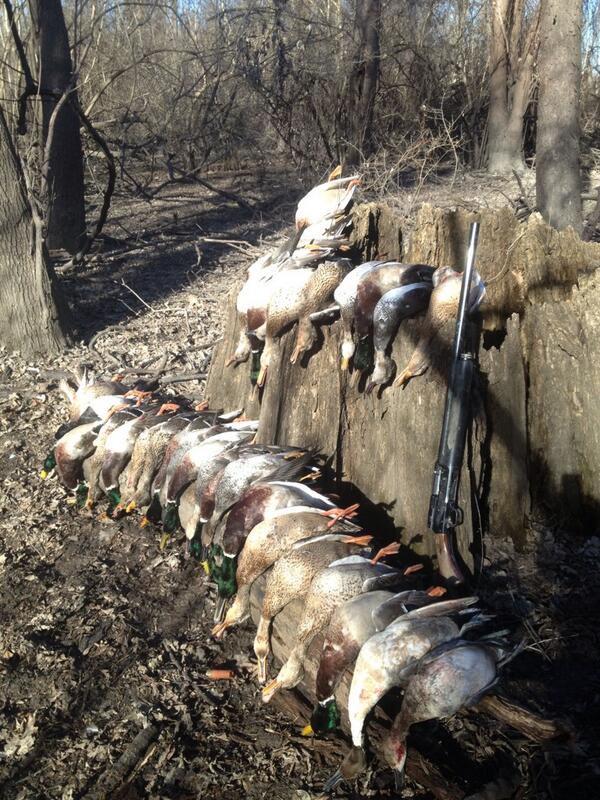 dpcoppage's tweet photo. "@GregHalterman: Last day 6 full limits. @dpcoppage @KeithPAllen @BandedTWG @Chalterman_20 http://t.co/7oAawu8pJq" finished strong