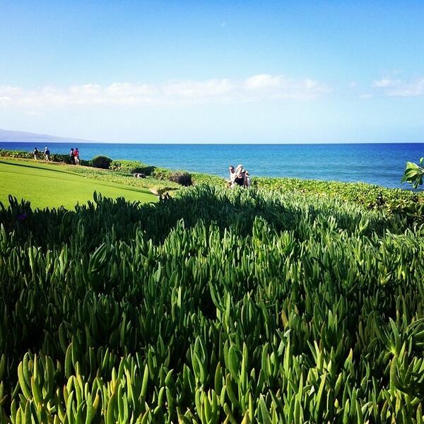 FSMaui's tweet image. If you need us today come find us soaking up the Maui sun on the Wailea beach walk. #fsfotog #2014resolutions #wa...