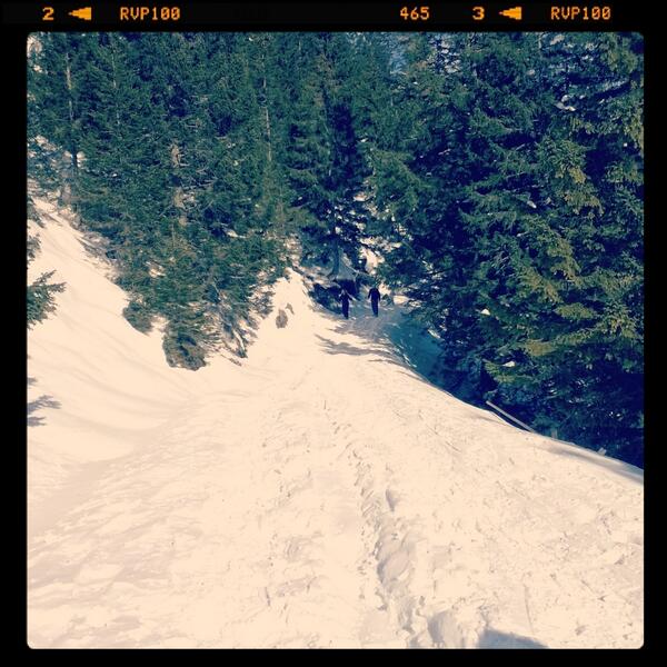 BonElsa's tweet photo. Ciaspolada &amp; gran fatica oggi😊✌ http://t.co/nuGoSqgGIq