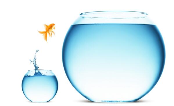 jaysamit's tweet photo. Only bold actions will yield bold results. http://t.co/pgRXGMduOU