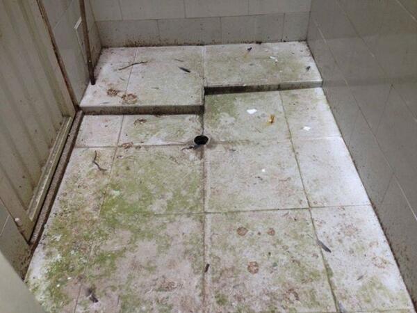 hermescle's tweet photo. @RCNcazanoticias restrepo,meta abondono proyecto de vivienda http://t.co/tmwkFw2ET2