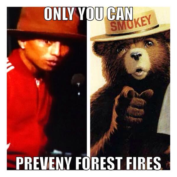 _Johnny__5's tweet photo. Doesn't he look like the bear? Lmao http://t.co/P14wpL1zmb