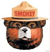 SmokeyyOnFriday's tweet photo. Why Pharrell got on that Smokey the Bear Hat tho? http://t.co/9eytekbmod
