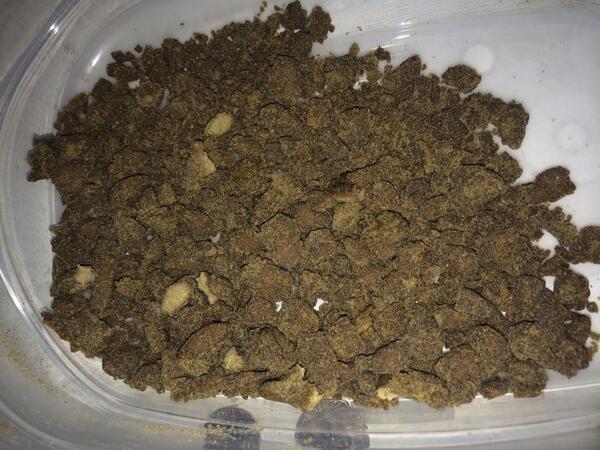 TopShelfFlipper's tweet image. 