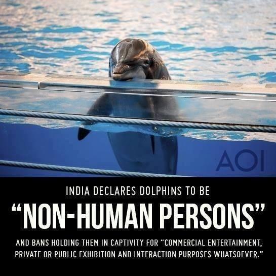 Missed this before but BRAVO, India! #Dolphins #NonHumanPerson