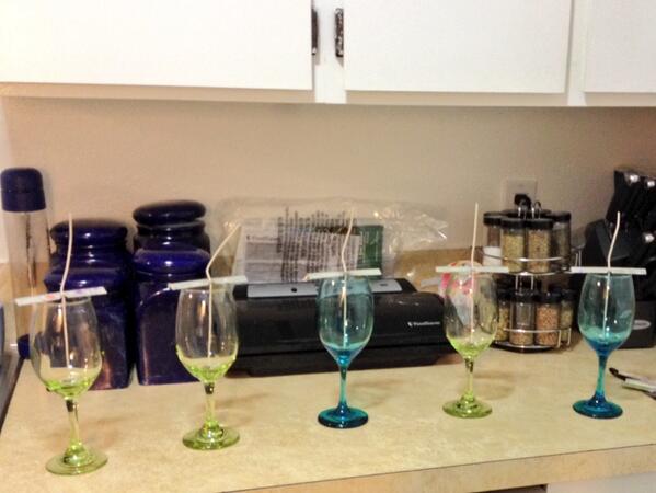 savagedelights's tweet photo. The green glasses will have blue Very Vanilla wax, and the blue glasses will have bright green Pine scented wax. http://t.co/26xF83aiN9