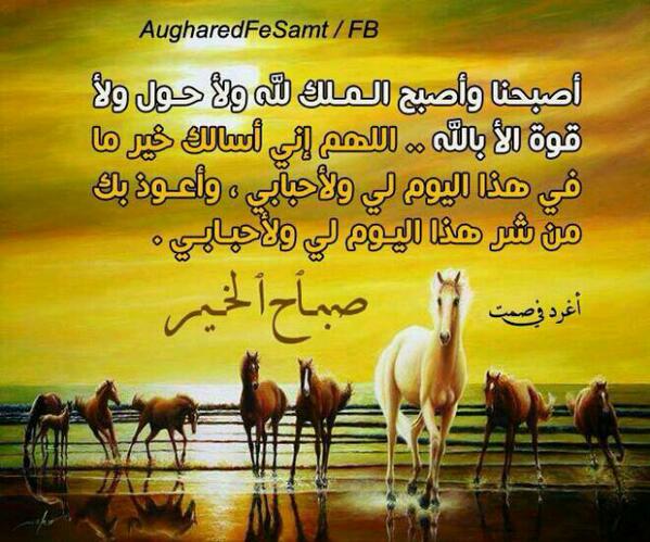 Haifa88's tweet photo. http://t.co/RPLvxK1uE4