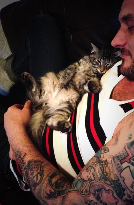I just realized I did not shared any cats pic today...lol So here there are, my sleeping beauties 💓 #lovemymen<a href="/tag/lovemymen"class="tags"><span>#lovemymen</span></a>
